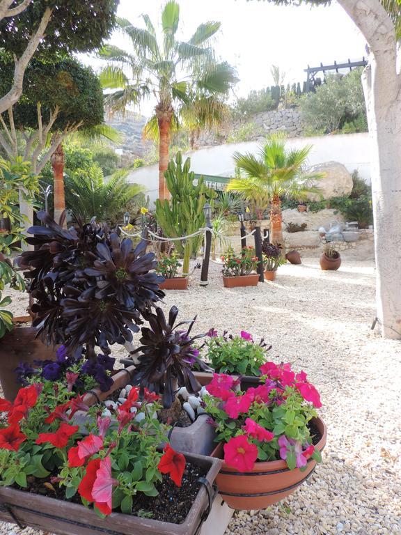 Hotel Las Calas أغوا امارجا المظهر الخارجي الصورة